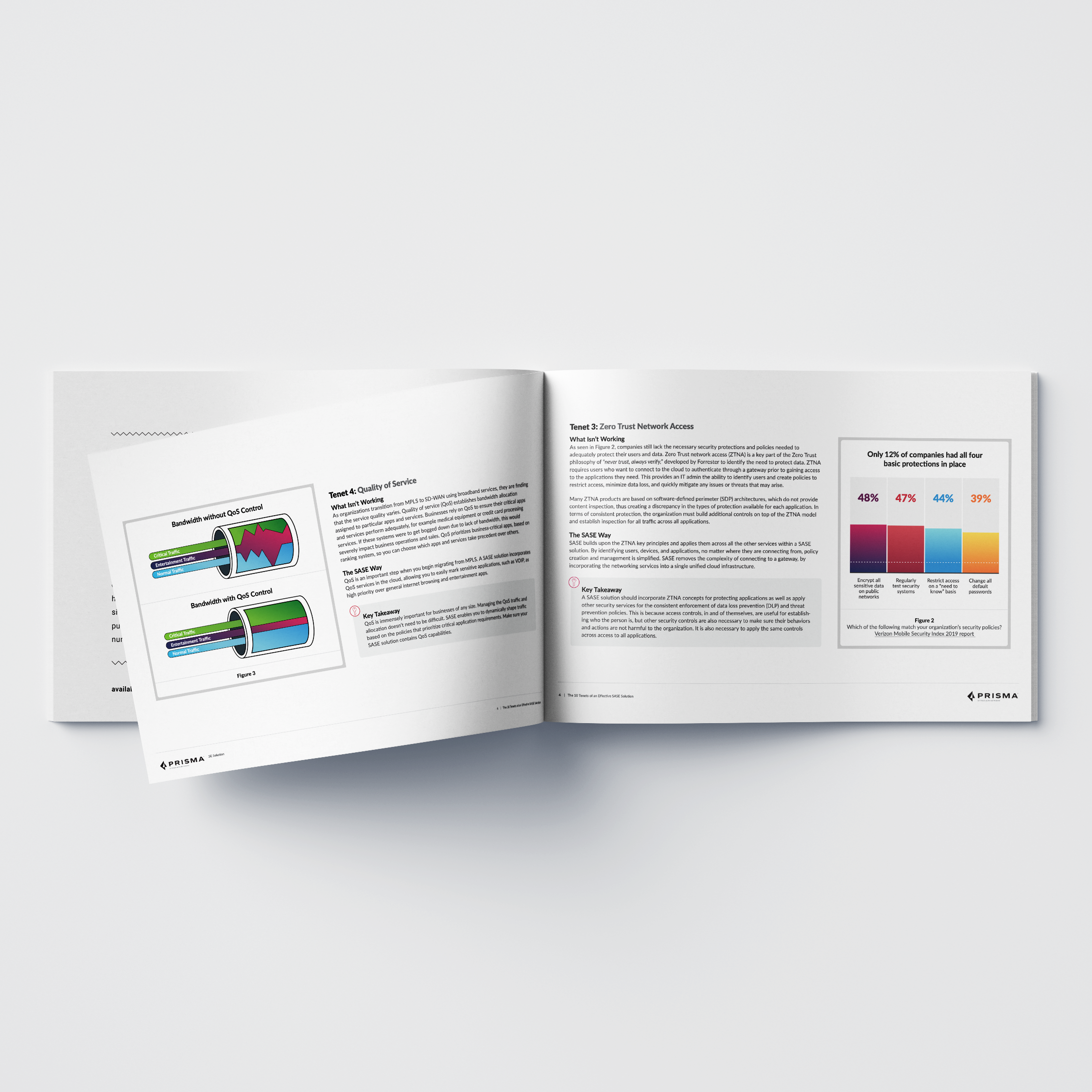 The 10 Tenets of an Effective SASE eBook