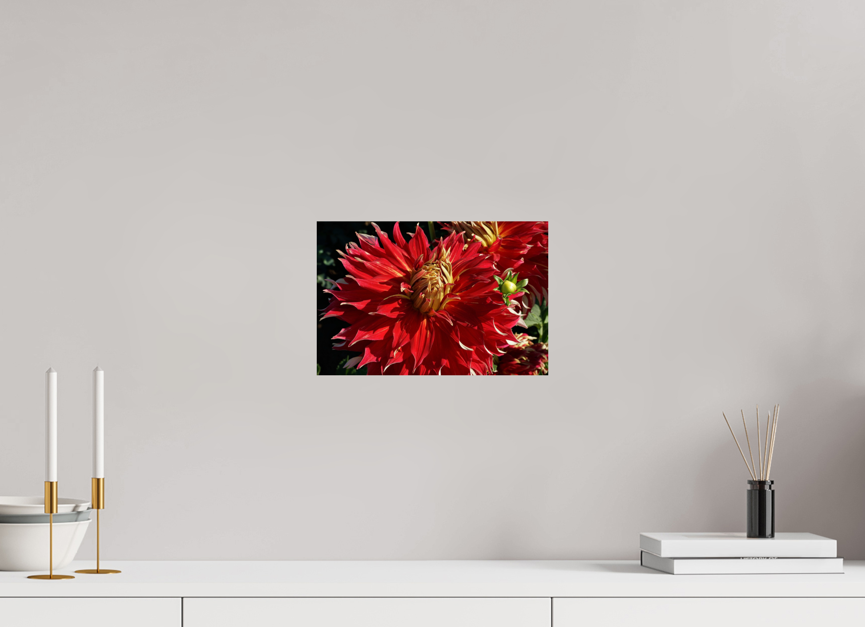 12 x 8″, Fine Art Print Wild Radiance