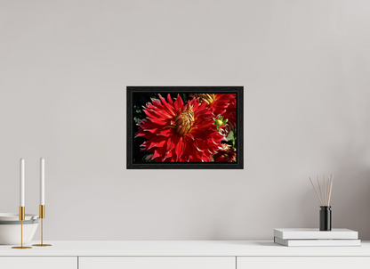 12 x 8″, Floater Frame Wild Radiance
