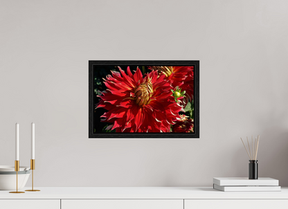 15 x 10″, Floater Frame Wild Radiance