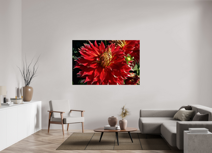 66 x 44″, Photo Print On Fuji Crystal DP II Wild Radiance