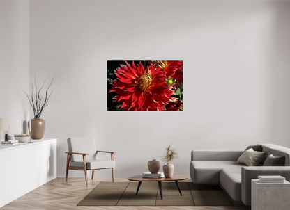 54 x 36″, Fine Art Print Wild Radiance
