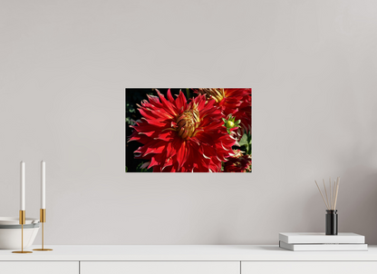 15 x 10″, Fine Art Print Wild Radiance