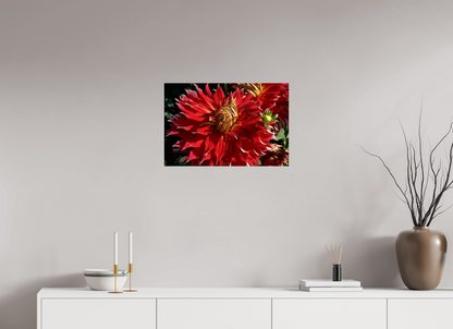 24 x 16″, Photo Print On Fuji Crystal DP II Wild Radiance