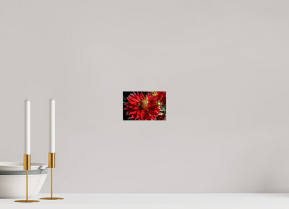 6 x 4″, Photo Print On Fuji Crystal DP II Wild Radiance