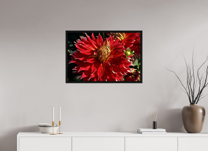 30 x 20″, Floater Frame Wild Radiance