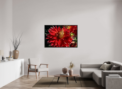 54 x 36″, Floater Frame Wild Radiance