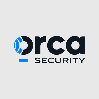 Modernize Orca's Visual Identity