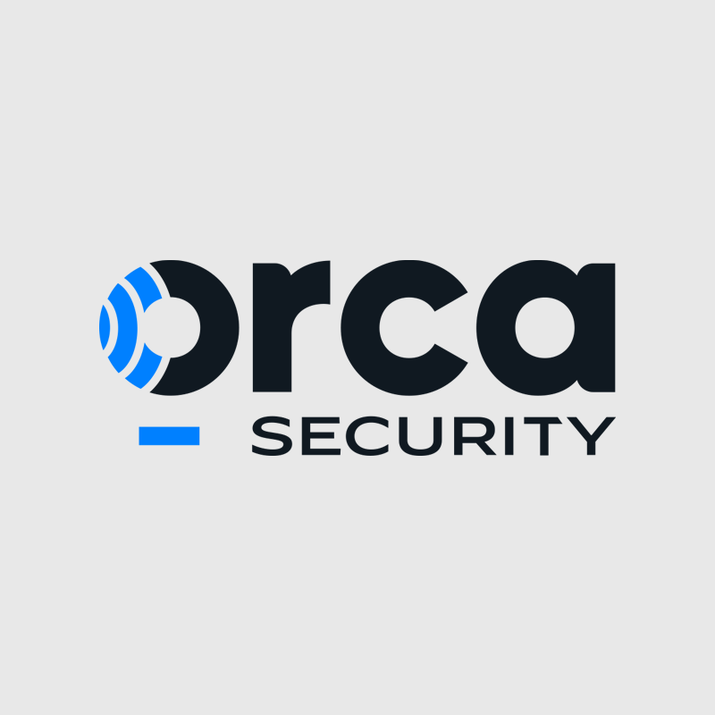 Modernize Orca's Visual Identity